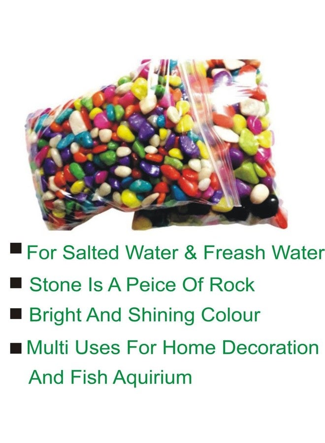Somil Multicolor Pebbles/Stones for Garden, Plants, Lawns, Aquariums, Fish Pots, Home Decor, Vases, Furniture Filler. Size: 10-30mm, Shiny Multicolor -A262 - Image 5
